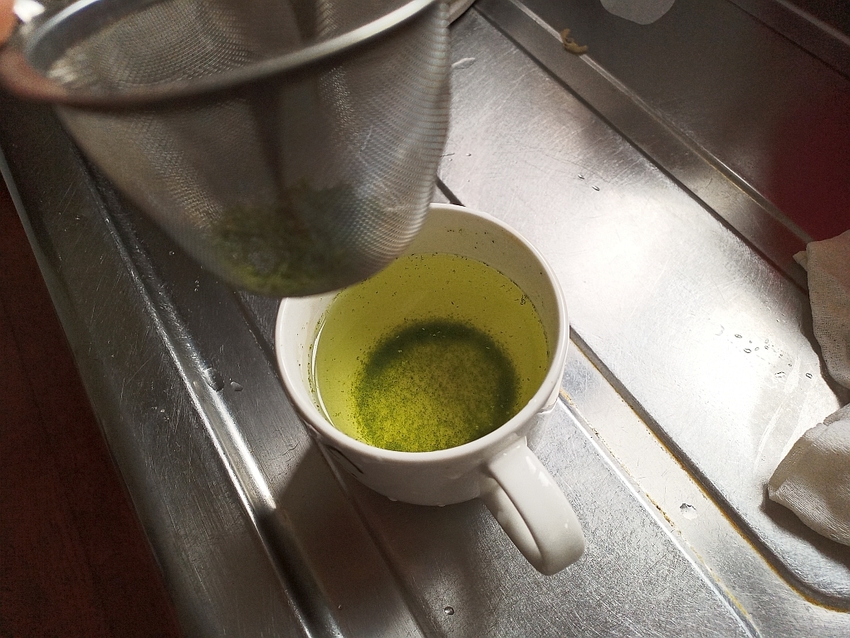 急須の網でスギナ茶を淹れたとこ...