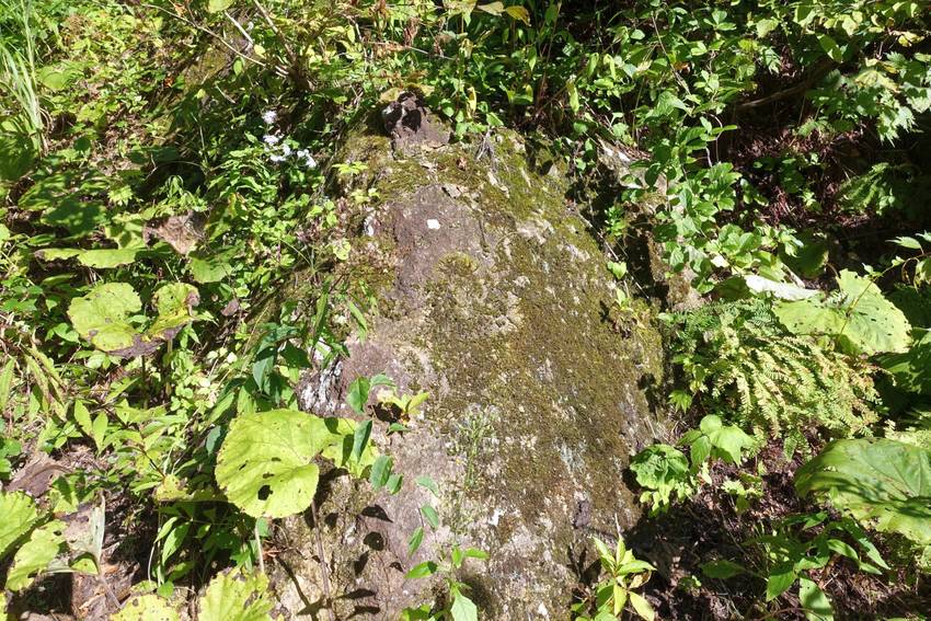 苔むした大きな岩が幾つか点在し...