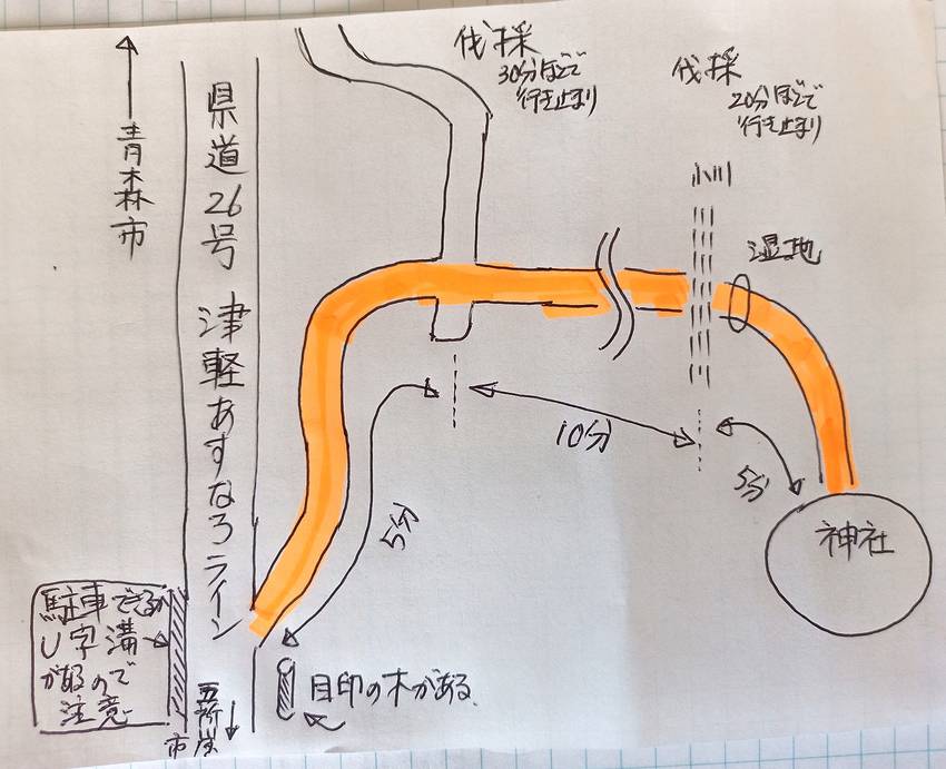 参道の概略図を描いてみました。