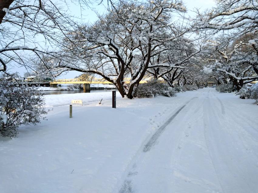 ゆっくりラン1km 2022....
