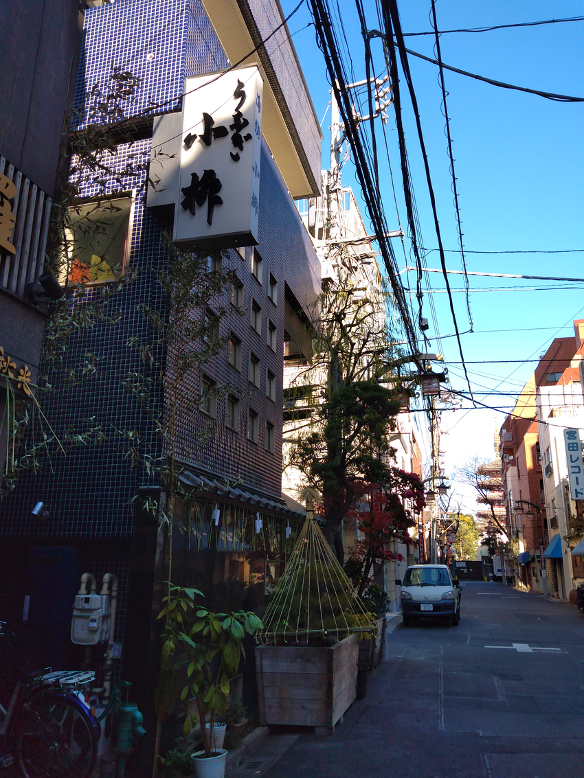 浅草・小柳