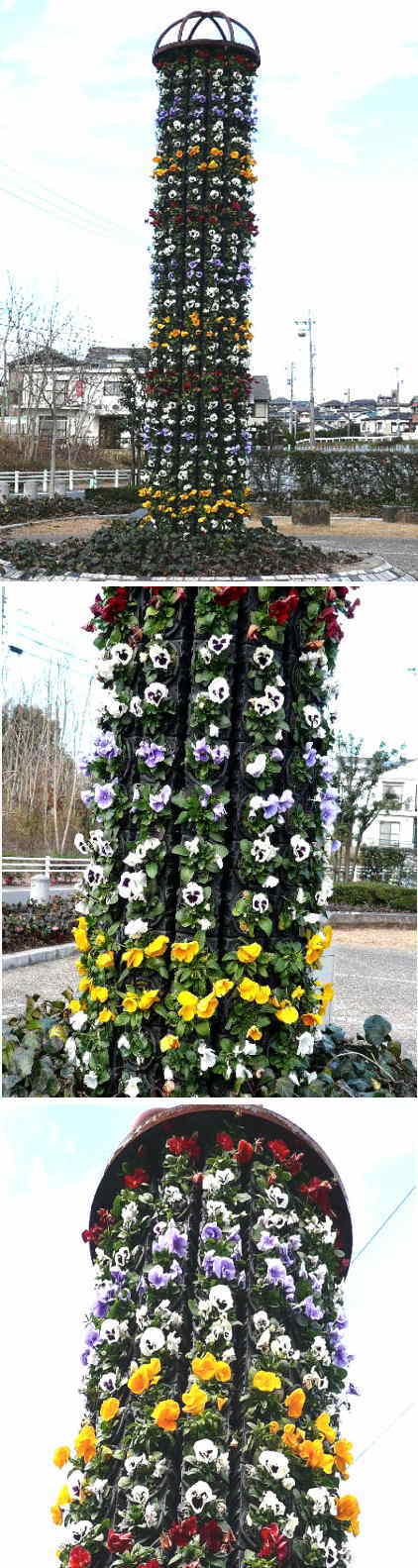 円柱仕立てのパンジーの花