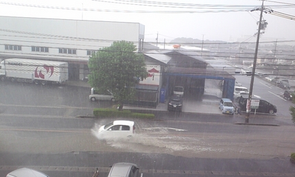 ゲリラ雷豪雨ってやつ？