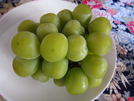 【食】葡萄の夏