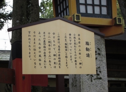 神社の鳥居には榊が