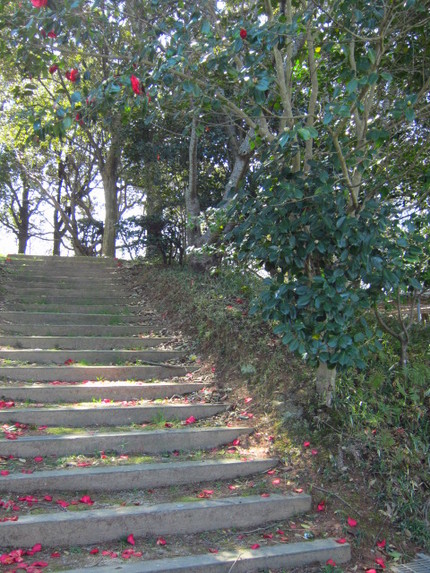 椿の階段
