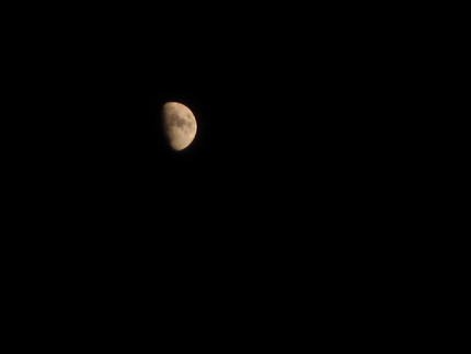 【月】今夜は十日月