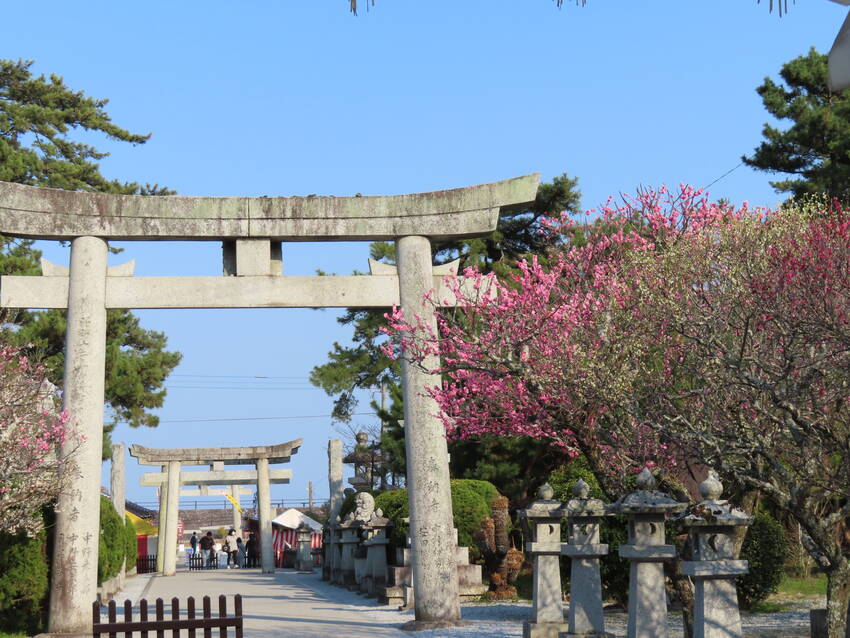 敷島天満宮と周防灘