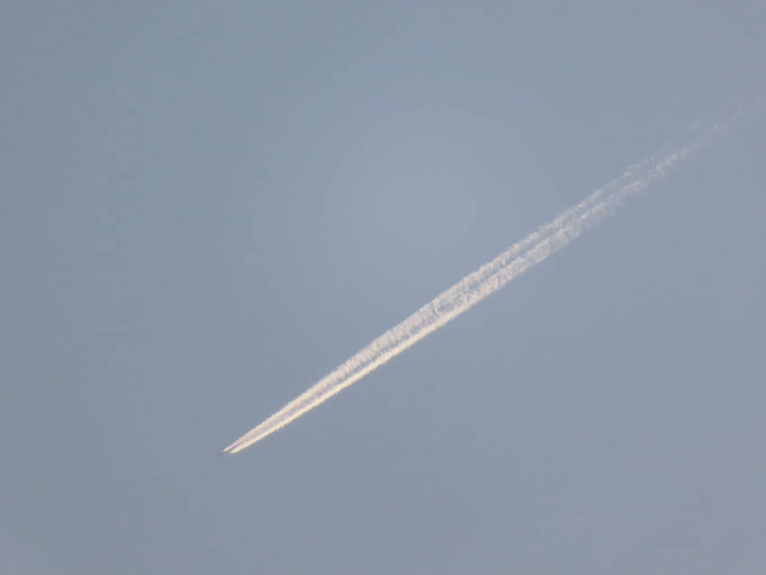 皐月空