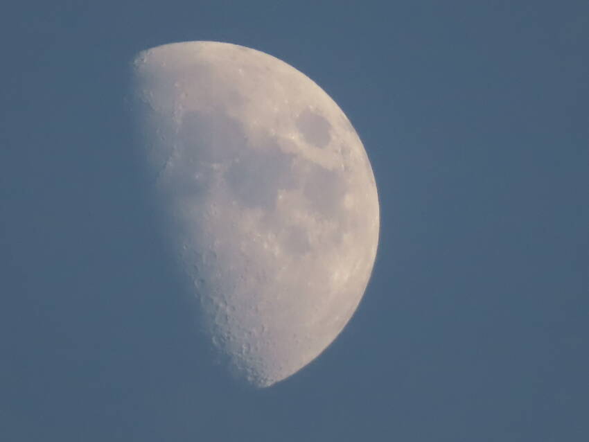 九夜月