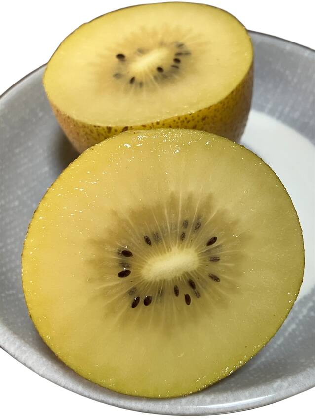 最近のお気に入り