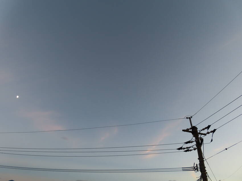 お疲れ夏の日が暮れて十一夜...