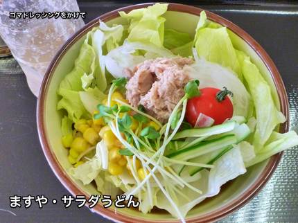 涼味・胡麻ドレ サラダうどん