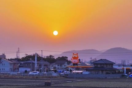 夕暮れポン太