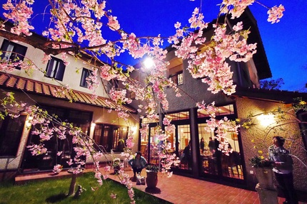 森のカフェで夜桜を楽しむ会