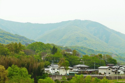 伊邪那美神社付近の吉野川河川敷...