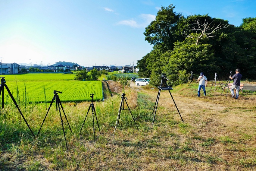 遠方の小山が丸亀城天守、その向...