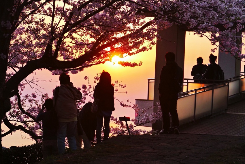 昨日の夕陽