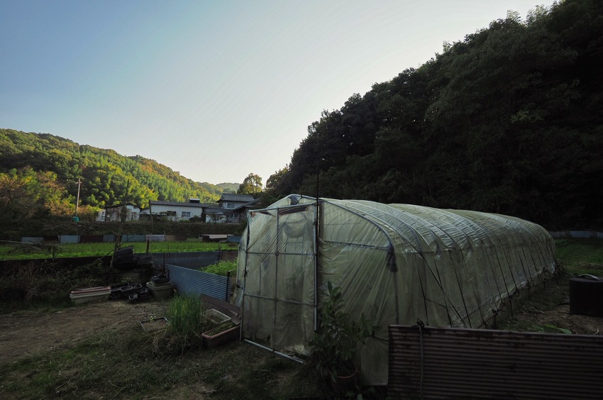 山あいの日暮れは早いですね。