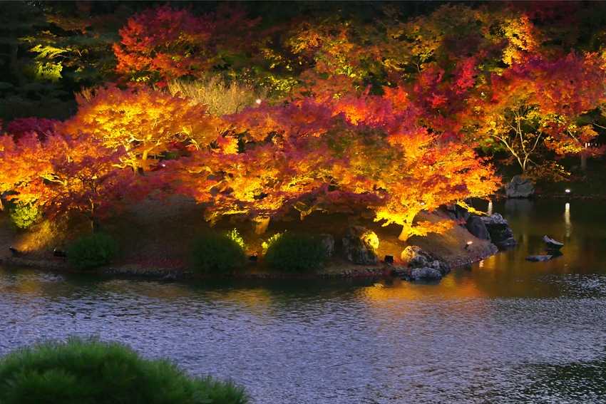 栗林公園 秋のライトアップ20...