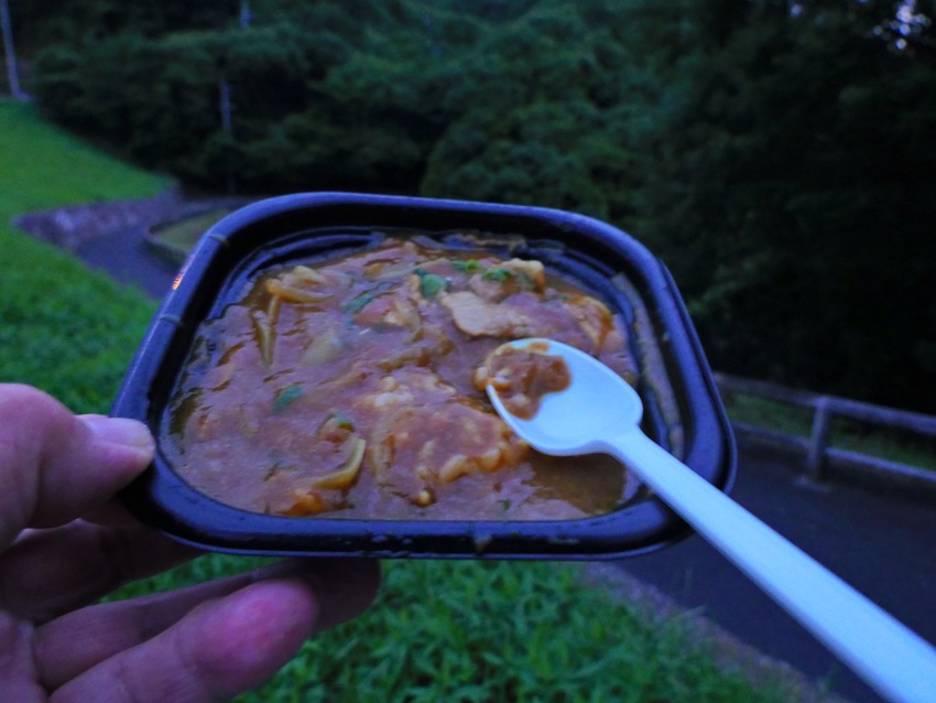 和風カレー