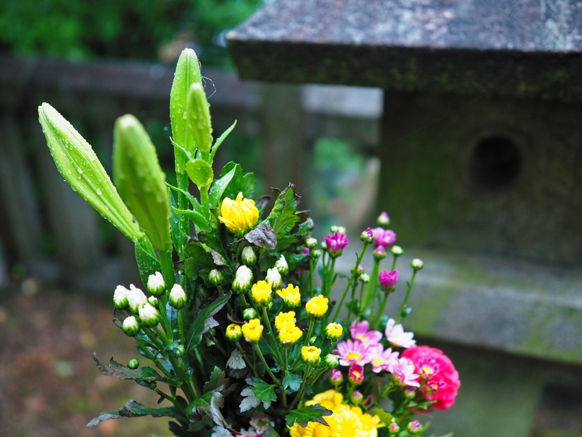 4日目の供花。買った時と変わら...