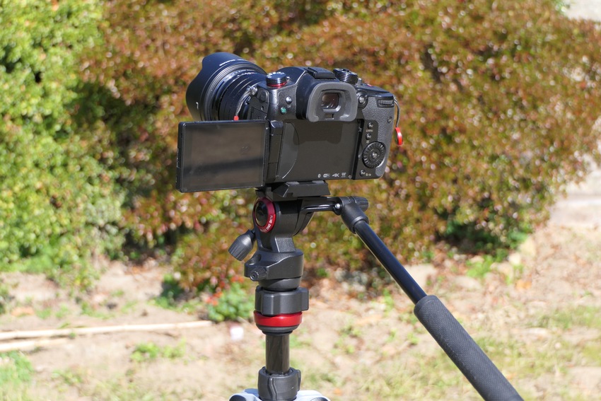 GH5Sとオリンパス17mmレ...