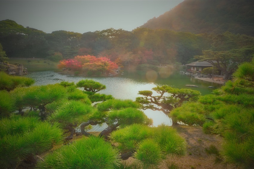 栗林公園の秋