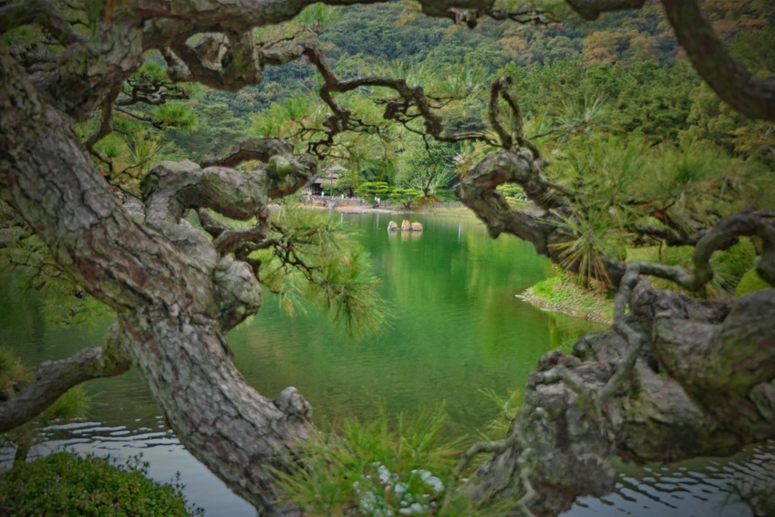 栗林公園の秋