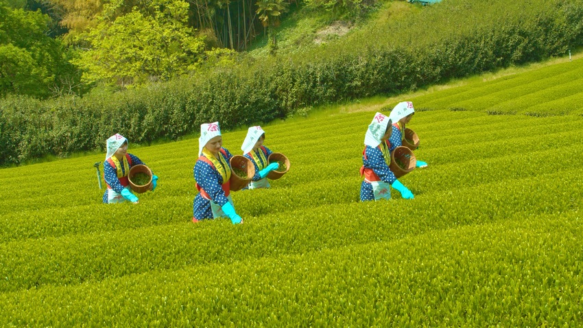 パナライカ12〜60mm