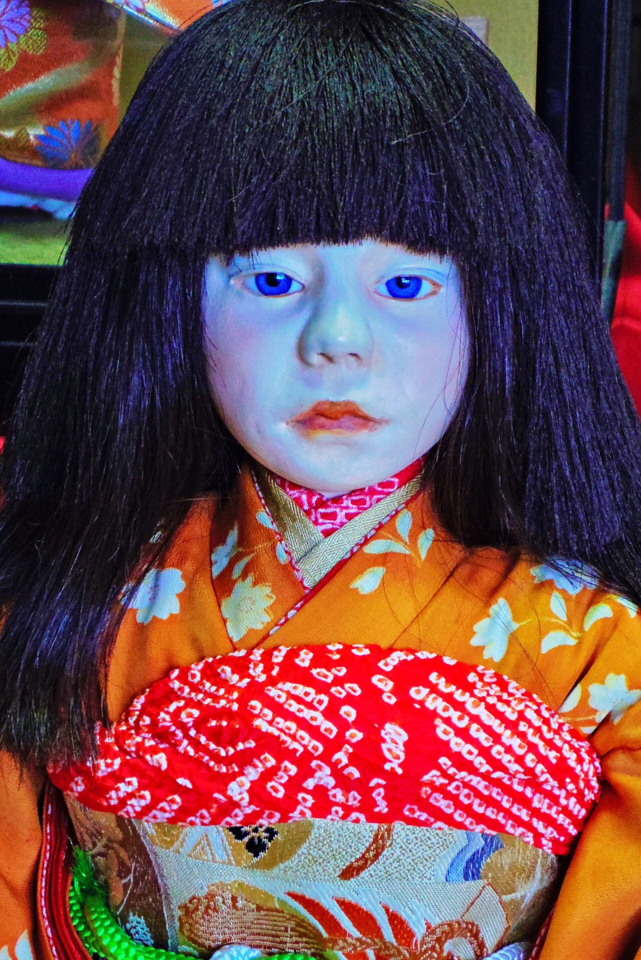 子供ウケする 青い眼の日本人形と青い血 解体心象 Bloguru