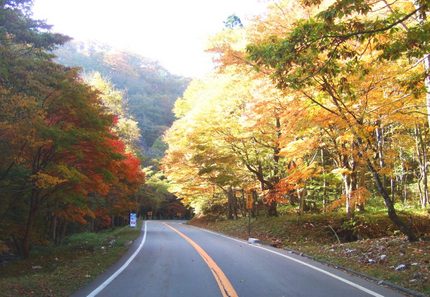 紅葉の始まったせせらぎ街道