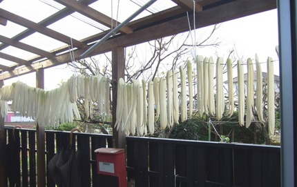 大根の割り干し