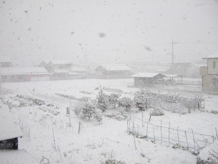 尾張北西部は大雪です