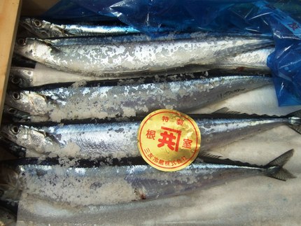 秋刀魚