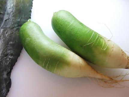 ビタミン大根をいただいた！美味...