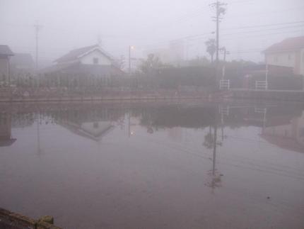 今朝は濃い霧です
