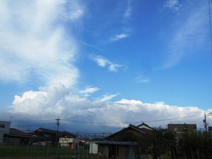 名残惜しい夏