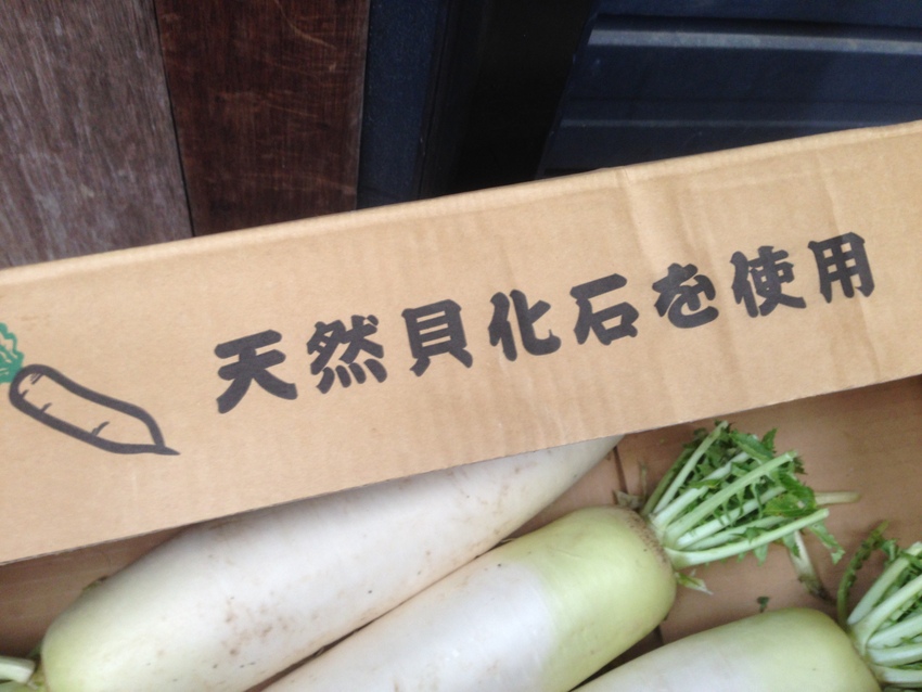 なんなんやろう？(笑)化石って