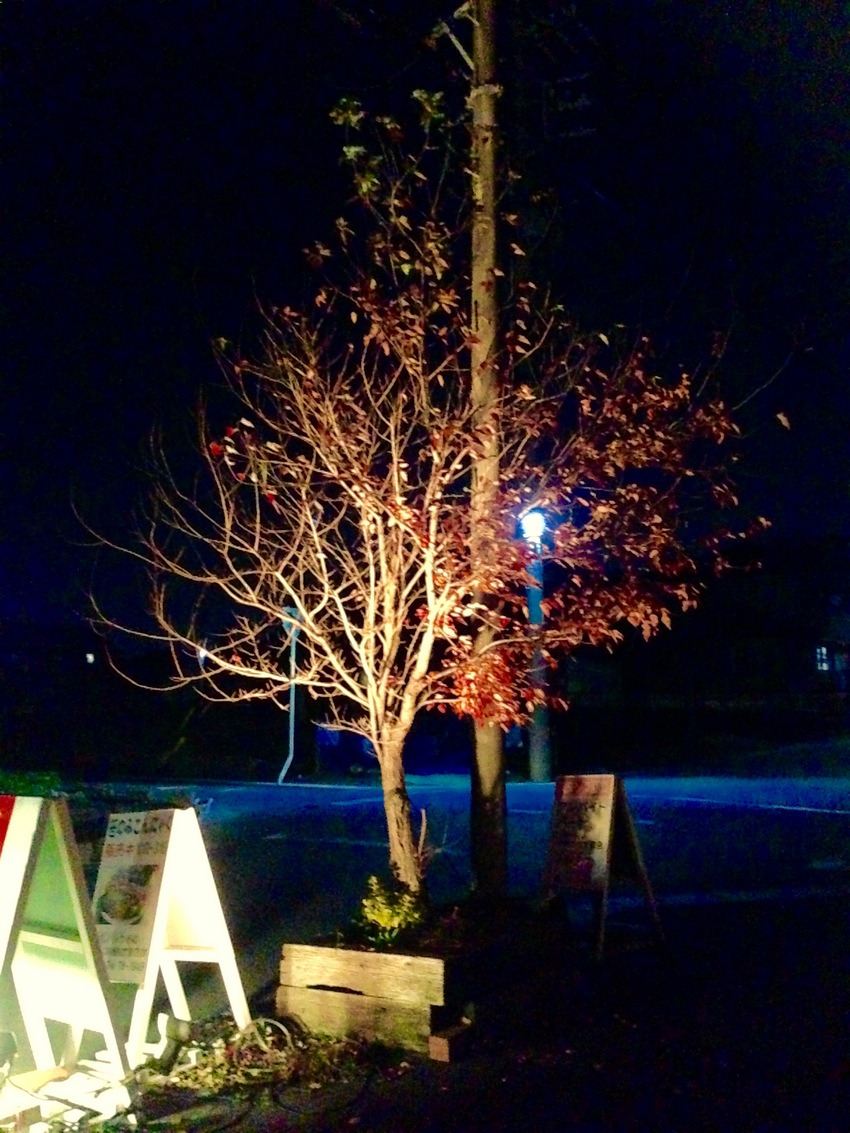 クリスマスってわけじゃないけど...