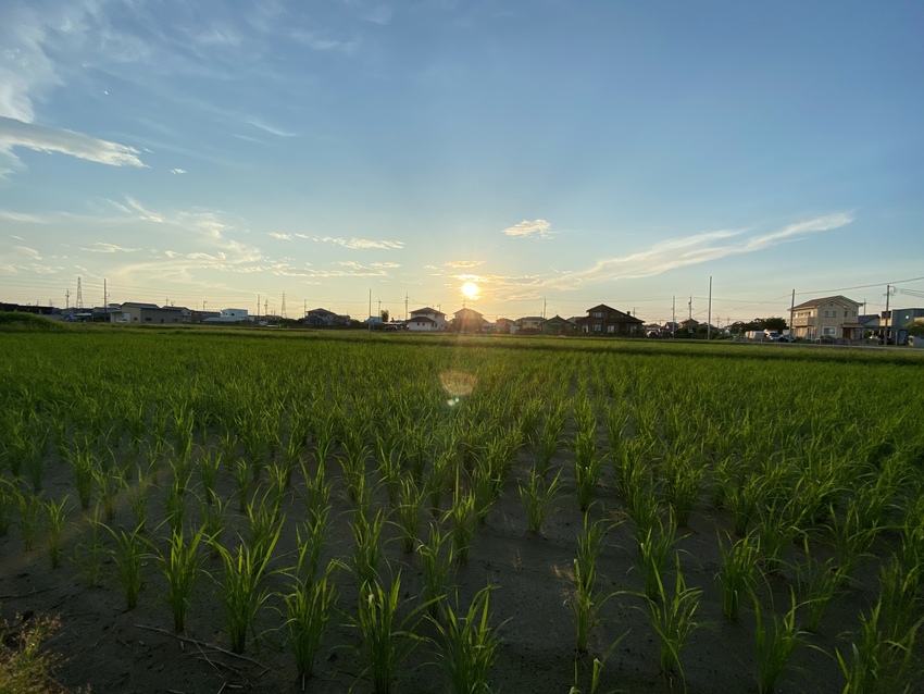雄大で気持ちのいい空でした。