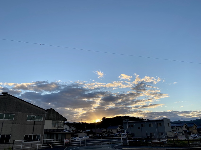 ハッとする朝陽でした。 神々し...
