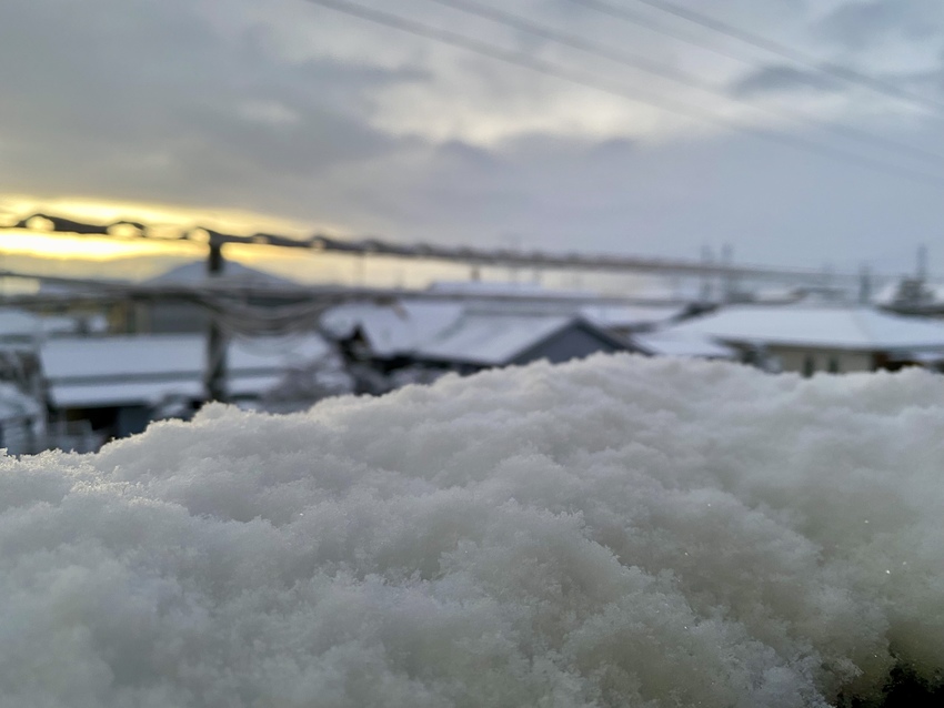 ほんと暖かいところで見る雪が好...