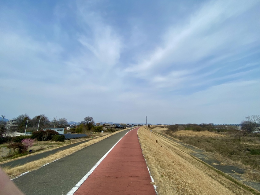観てる分には綺麗かもしれないけ...