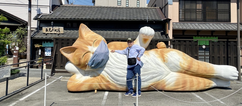 招き猫ファンにはたまらないか？...