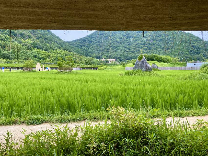 雫が軒から垂れてるの… 伝わる...