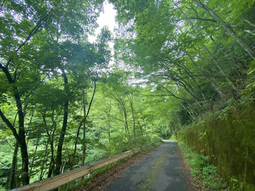 綺麗だなあ〜なんて景色見てると...