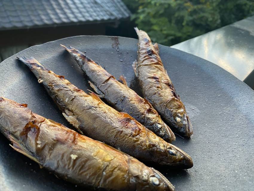 今回気づいたけど… 鮎ってさ、...