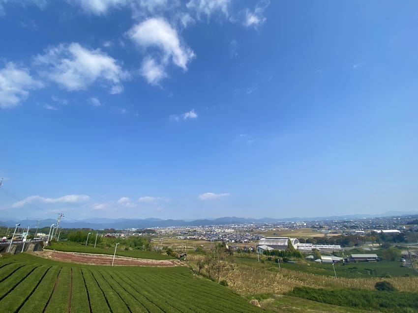 揖斐の茶畑と揖斐川町、谷汲方面