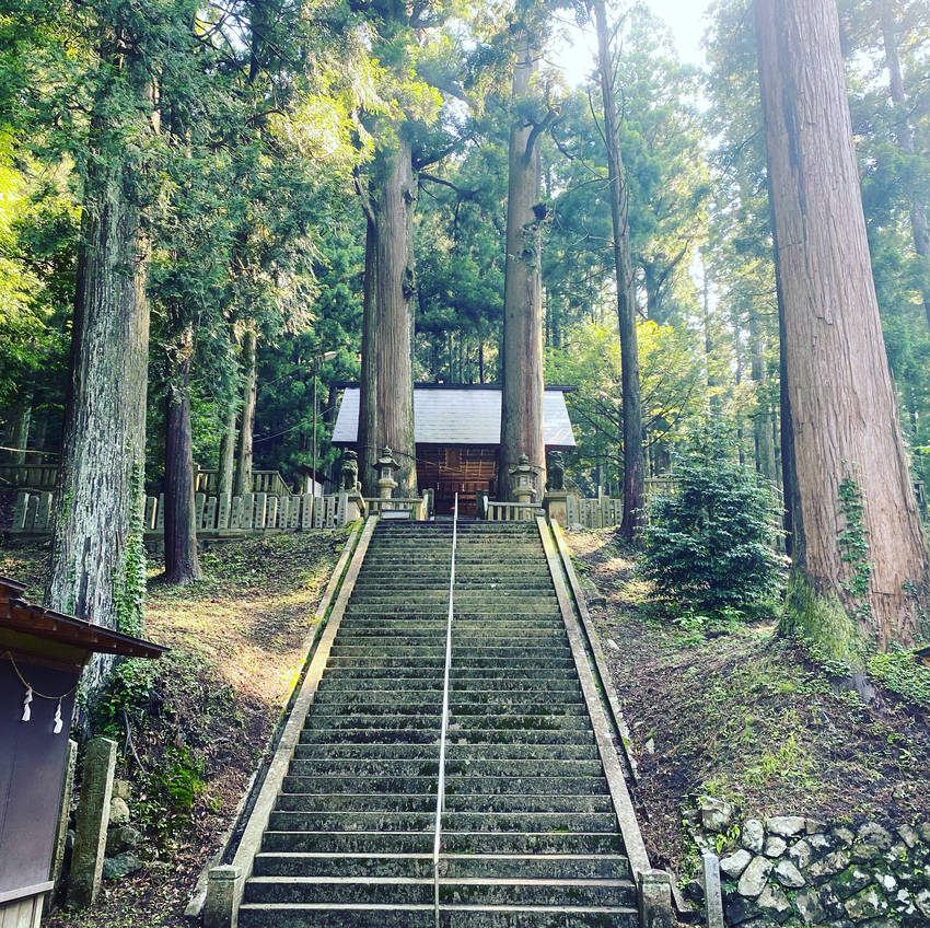石段そのものより 登った先の拝...